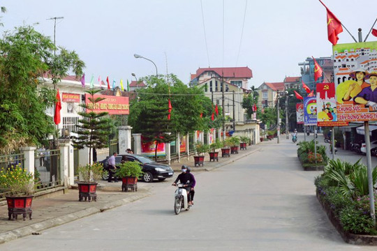 Hà Nội: Phấn đấu 100% số huyện, thị xã đạt chuẩn nông thôn mới trong năm 2022