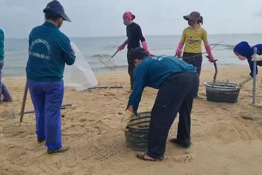 Quảng Bình: Thành phố Đồng Hới thu gom gần 2 tấn dầu loang và rác thải trôi dạt vào bờ biển