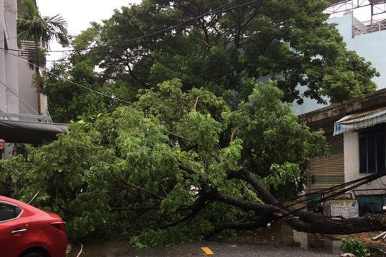 Đà Nẵng: Khắc phục thiệt hại sau bão và ứng phó nguy cơ mưa lũ lớn, ngập úng đô thị