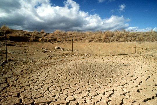 Sa mạc hóa – Thách thức lớn nhất của biến đổi khí hậu