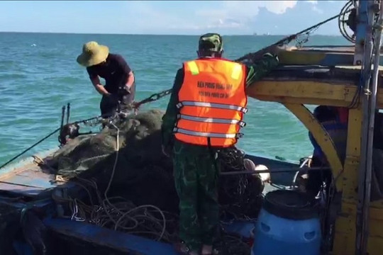 Quảng Nam: Đồn Biên phòng Cửa Đại bắt giữ 4 tàu cá khai thác hải sản trái phép