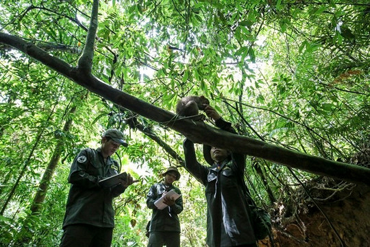 Đà Nẵng: Tọa đàm và triển lãm ảnh trực tuyến kêu gọi bảo vệ động vật hoang dã