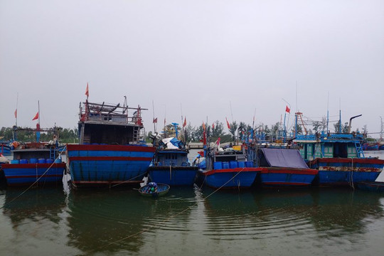 Đà Nẵng và Quảng Nam nghiêm cấm tàu thuyền ra khơi