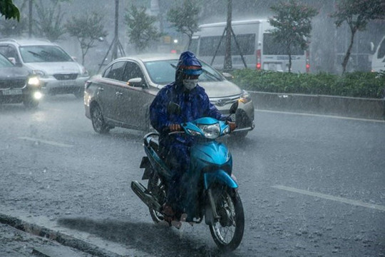 Dự báo thời tiết ngày 8/10: Trung Trung Bộ, Bắc Tây Nguyên mưa to đến rất to và dông