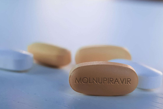Bộ Y tế chính thức đưa Molnupiravir vào phác đồ điều trị Covid-19