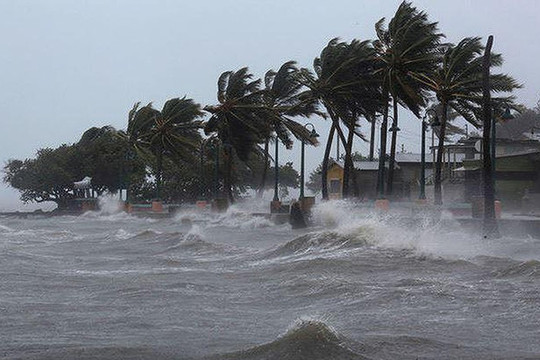 Đà Nẵng chủ động ứng phó bão Kompasu và mưa lớn, lũ quét, sạt lở đất