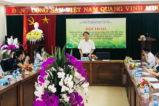 Nâng cao giá trị gia tăng, phát triển bền vững cây Chè trên địa bàn tỉnh Thái Nguyên