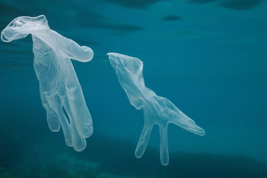 Giảm ô nhiễm nhựa đại dương (Bài 1): Thực trạng đáng báo động trên thế giới và những ảnh hưởng đến Việt Nam