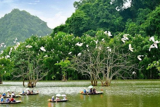 Khởi động dự án bảo tồn môi trường sống ven biển khu vực Đồng bằng sông Cửu Long