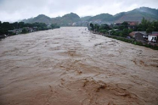 Dự báo thời tiết ngày 24/10: Quảng Trị – Phú Yên và Bắc Tây Nguyên có nơi mưa rất to