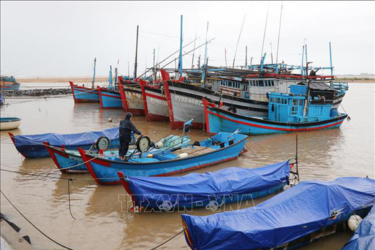 Ninh Thuận, Khánh Hòa khẩn trương triển khai các biện pháp ứng phó với áp thấp nhiệt đới