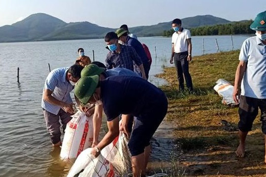 Hà Tĩnh: Thả cá giống tái tạo nguồn lợi thủy sản ở hồ Sông Rác