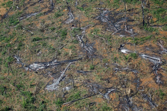 Brazil: Tỉ lệ phá rừng Amazon bị tàn phá kỷ lục trong 15 năm