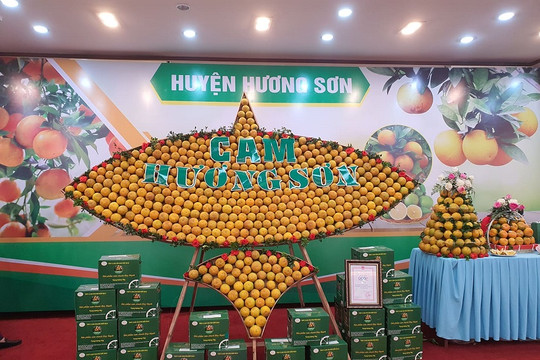 Hà Tĩnh: Tổ chức hội nghị quảng bá thương hiệu, xúc tiến tiêu thụ cam