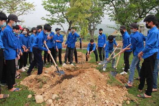 Các huyện miền núi ở Nghệ An tăng cường thực hiện đề án trồng 1 tỷ cây xanh