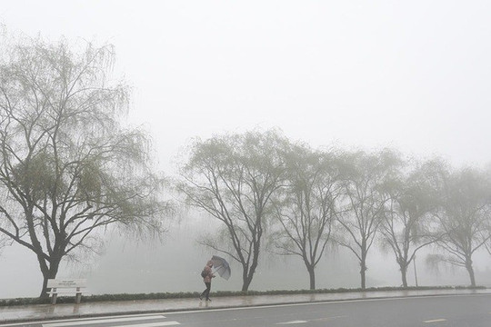Dự báo thời tiết ngày 26/11: Khu vực Hà Nội có mưa nhỏ vài nơi