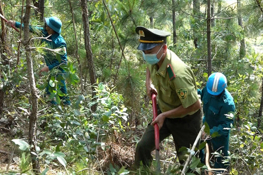 Quảng Bình: Tăng cường nhiều giải pháp bảo vệ rừng