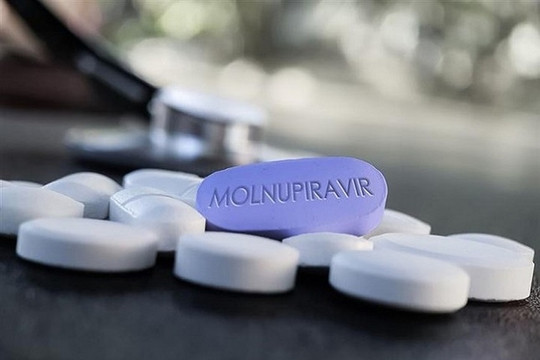 Ngày 29/11: Có 6 doanh nghiệp trong nước nộp hồ sơ đăng ký thuốc điều trị COVID-19 Molnupiravir