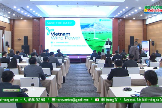 Ngành công nghiệp năng lượng điện gió có tiềm năng tăng trưởng mạnh mẽ tại Việt Nam