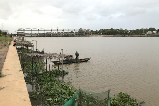 Trà Vinh: Dự kiến xây hồ chứa nước ngọt sông Láng Thé bảo đảm an ninh nguồn nước
