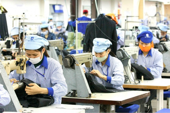 Doanh nghiệp Việt và hành trình giữ vững chuỗi cung ứng trong dịch COVID-19