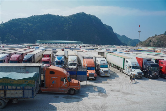 Tạm dừng xuất khẩu hàng hóa qua cửa khẩu Tân Thanh và Hữu Nghị
