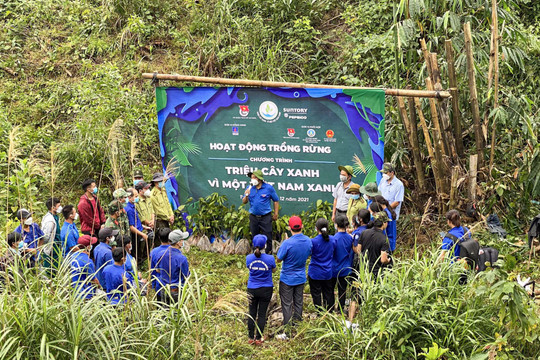 Quảng Ngãi: Ra quân trồng cây trong chương trình “Triệu cây xanh – Vì một Việt Nam xanh