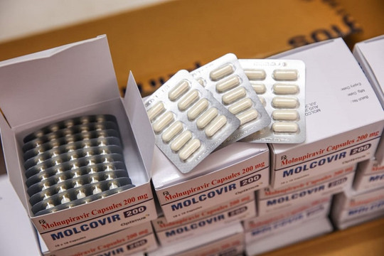 Thuốc Molnupiravir tại Việt Nam: Thí điểm có kiểm soát chặt chẽ