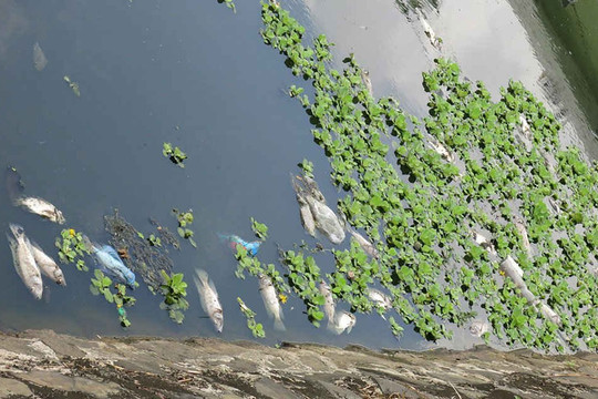 Đà Nẵng: Chi hơn 1.367 tỷ đồng khắc phục ô nhiễm, cải thiện môi trường tại các hồ nội thành