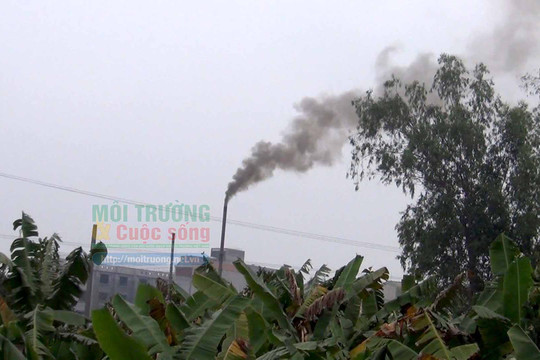 [VIDEO] Hà Đông (Hà Nội): Người dân “kêu cứu” vì công ty Việt Phương xả thải gây ô nhiễm môi trường, chính quyền ở đâu?