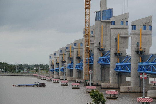 Xâm nhập mặn ở Đồng bằng sông Cửu Long tăng cao vào cuối tháng 1/2022