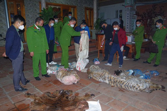 Tạm giữ hình sự Chủ tịch xã ở Thái Nguyên giết mổ hổ để nấu cao ngay tại nhà