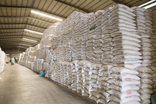 Đề nghị xuất cấp gần 10.000 tấn gạo hỗ trợ người dân dịp Tết Nguyên đán 2022
