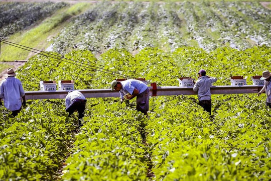 Bộ Nông nghiệp Mỹ đầu tư 1 tỷ USD thúc đẩy nông nghiệp xanh