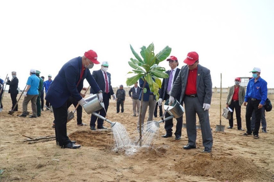 Phú Yên đồng loạt ra quân hưởng ứng ‘Tết trồng cây đầu Xuân Nhâm Dần năm 2022