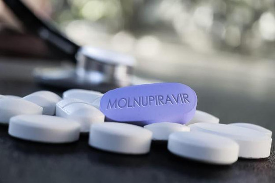 Sở Y tế Nghệ An ra văn bản nghiêm cấm mua bán thuốc Molnupiravir điều trị Covid-19