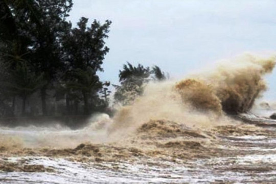 Các tỉnh, thành phố chủ động ứng phó với gió mạnh trên biển