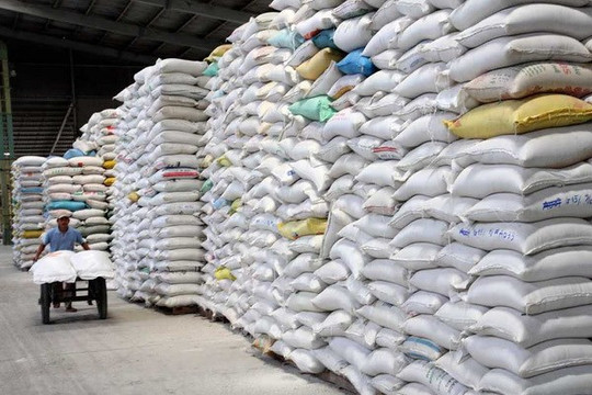 Xuất khẩu gạo tháng đầu năm tăng mạnh