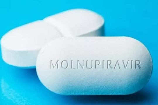 Cục Quản lý dược khuyến cáo về việc sử dụng thuốc Molnupiravir