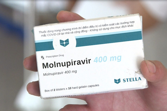 [Infographic] Những thông tin F0 CẦN BIẾT về thuốc Molnupiravir điều trị COVID-19