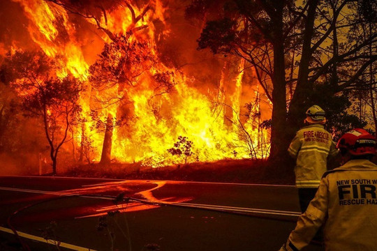 Cháy rừng ở Australia có thể liên quan đến sự suy giảm tầng ozone