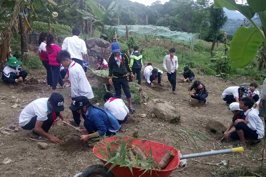 Quảng Nam: Cải thiện bữa ăn cho học sinh vùng cao huyện Nam Trà My từ mô hình “trồng cây dược liệu”