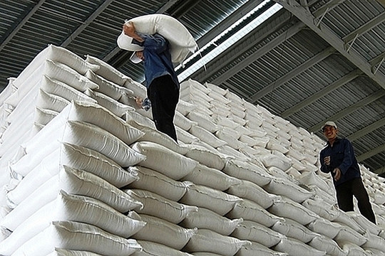 Hỗ trợ gạo cho 2 tỉnh Sơn La, Điện Biên trong thời giáp hạt