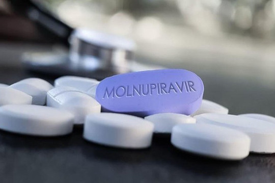 TP Hồ Chí Minh: Đề xuất mua 20.000 liều molnupiravir phát cho F0