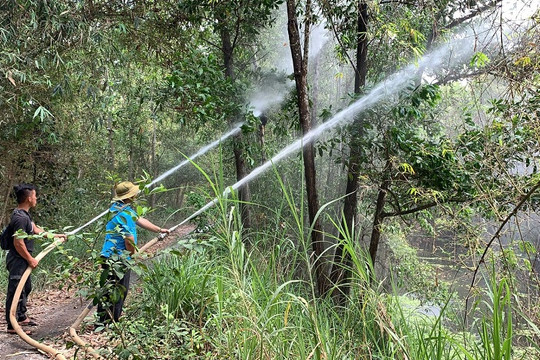 Đồng Tháp: Tăng cường các biện pháp phòng cháy, chữa cháy rừng trong mùa khô 2022