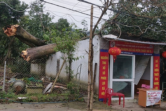 Nghệ An: Mưa đá kèm lốc xoáy, hàng trăm ngôi nhà bị tốc mái