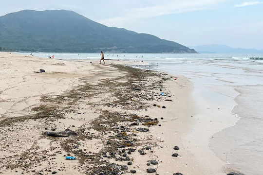 Khánh Hòa: Dầu vón cục lại xuất hiện tại bãi biển khu nghỉ dưỡng Bãi Dài