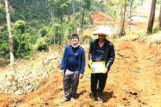 Lâm Đồng: Khởi tố, bắt tạm giam đối tượng chủ mưu phá rừng quy mô lớn