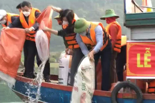 Can Lộc (Hà Tĩnh): Thả 250 kg cá giống phục hồi, tái tạo nguồn lợi thủy sản
