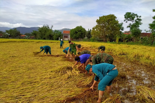 Phù Cát (Bình Định): Chạm đích huyện nông thôn mới